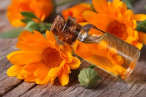 calendula_oil_01_92bcb9ef83
